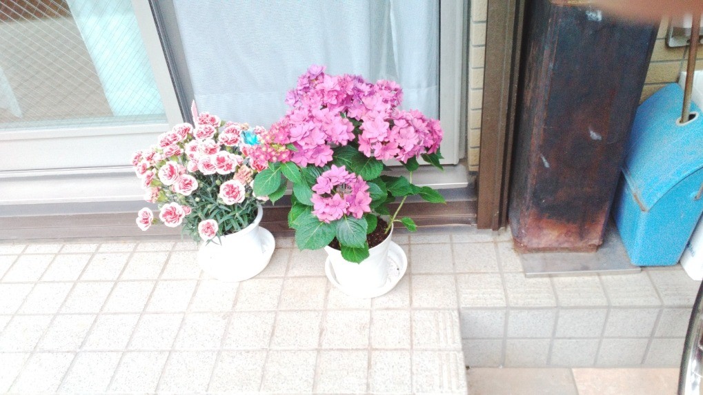 88da6fee9bc39c6c135d0e30a64c4766-1747996110.jpg