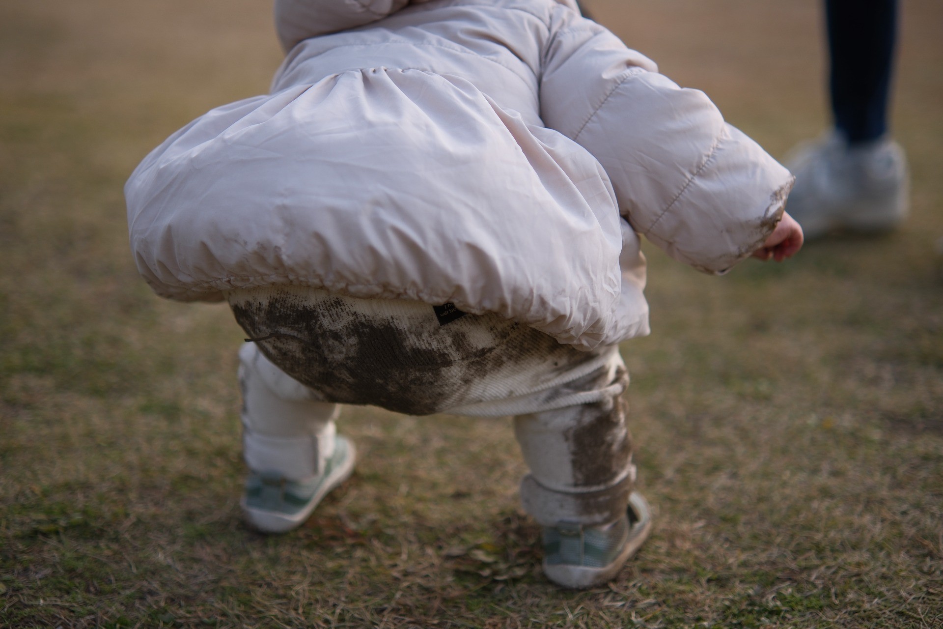 02b46540204fd515fc98df070c603e49-1765803832.jpg 02b46540204fd515fc98df070c603e49-1765803832.jpg