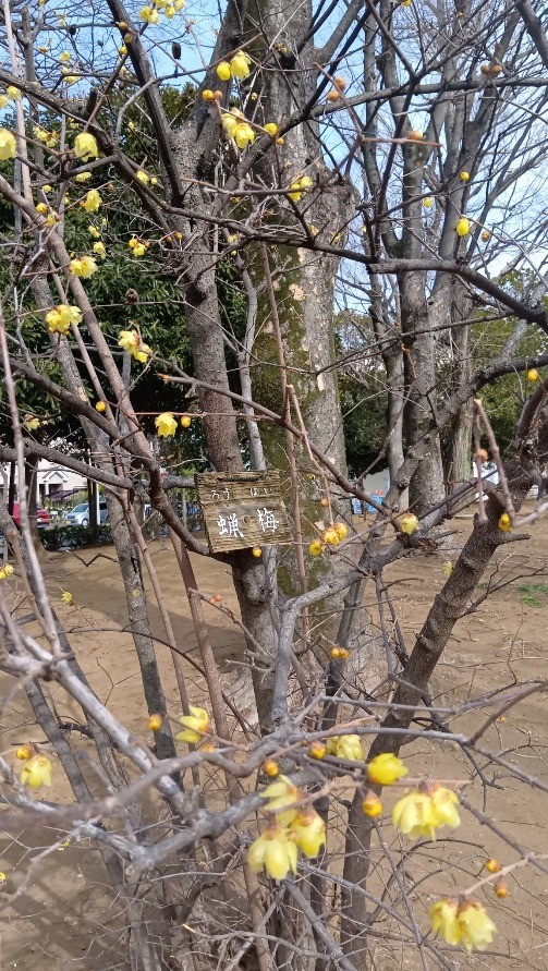 588644d30fdbf5e6eedf406f0461eef6-1771969722.jpg 588644d30fdbf5e6eedf406f0461eef6-1771969722.jpg