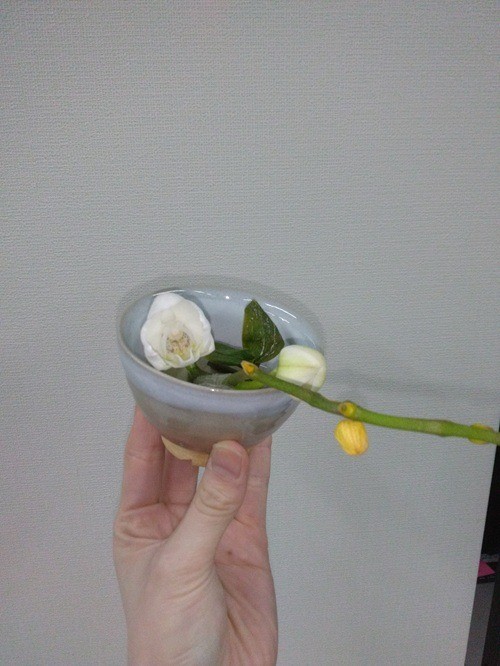 eb154b2a72798b526aaf4f3802359c1a-1773019116.jpg eb154b2a72798b526aaf4f3802359c1a-1773019116.jpg