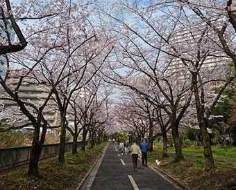 病棟と訪問看護の違い～地域看護コース（訪問看護コース）で訪問看護ステーションに異動して今思うこと～｜ブログ｜健和会訪問看護ステーション