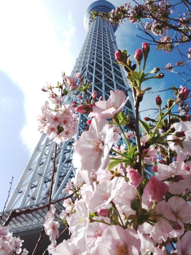春の訪れ