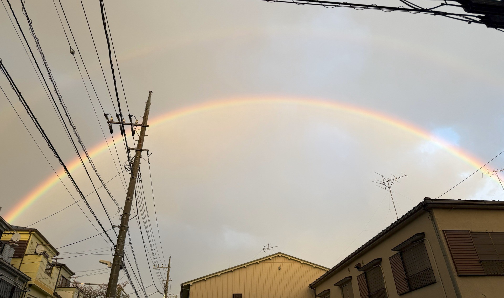 雨上がりの日に